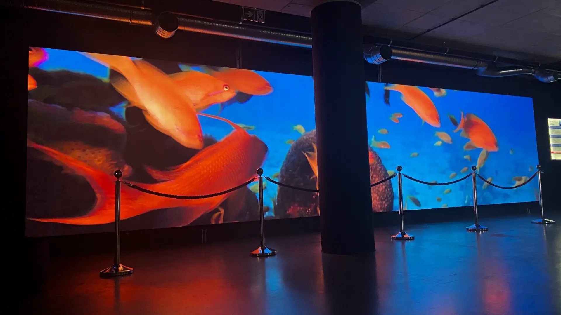 ekran ledowy 2 oceanarium