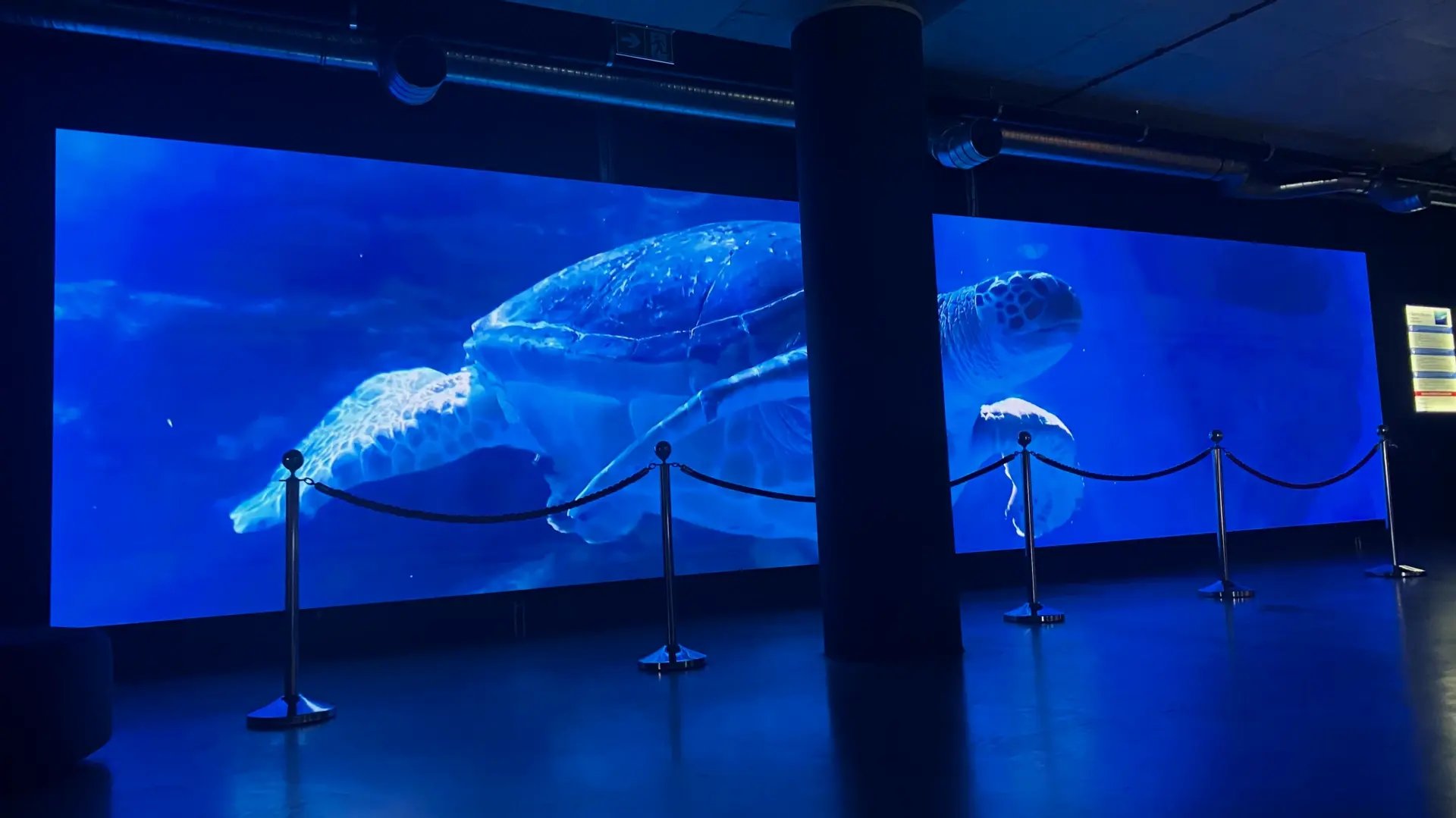 ekran ledowy 4 oceanarium